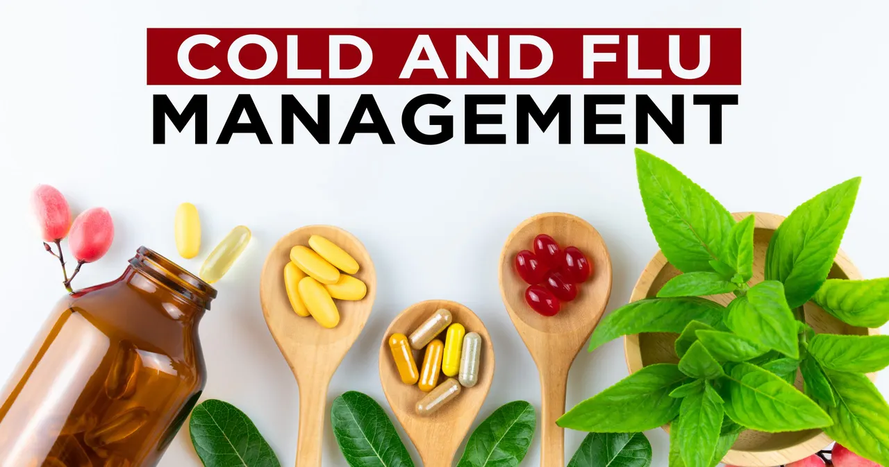 Building a Strong Immunity to Combat Colds and Flus