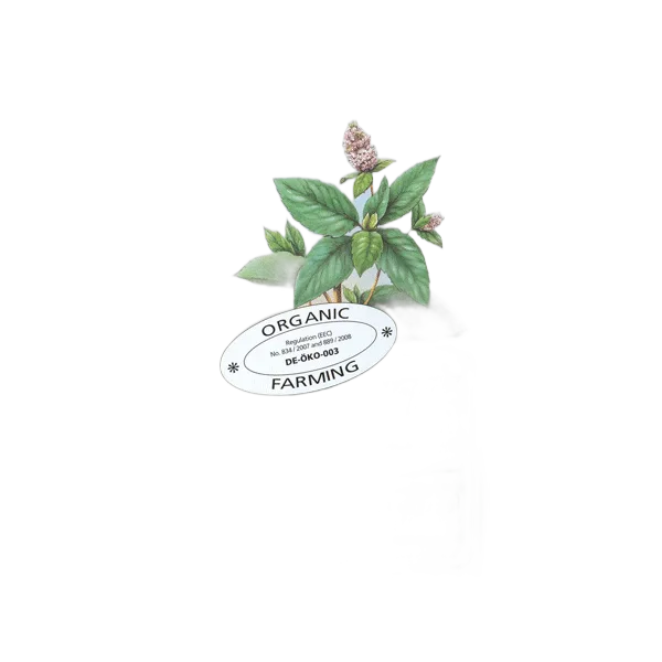 Floradix Peppermint Herb Tea 15'S