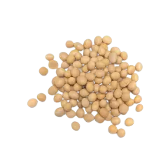 Vp Organic Soya Beans 500g