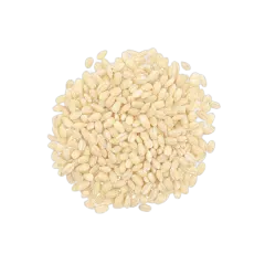 Vp Pearl Barley Grain 500g