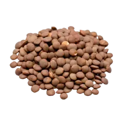 Brown Lentils 1kg