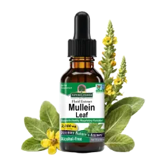 Nature's Answer Mullein Leaf 30 Ml