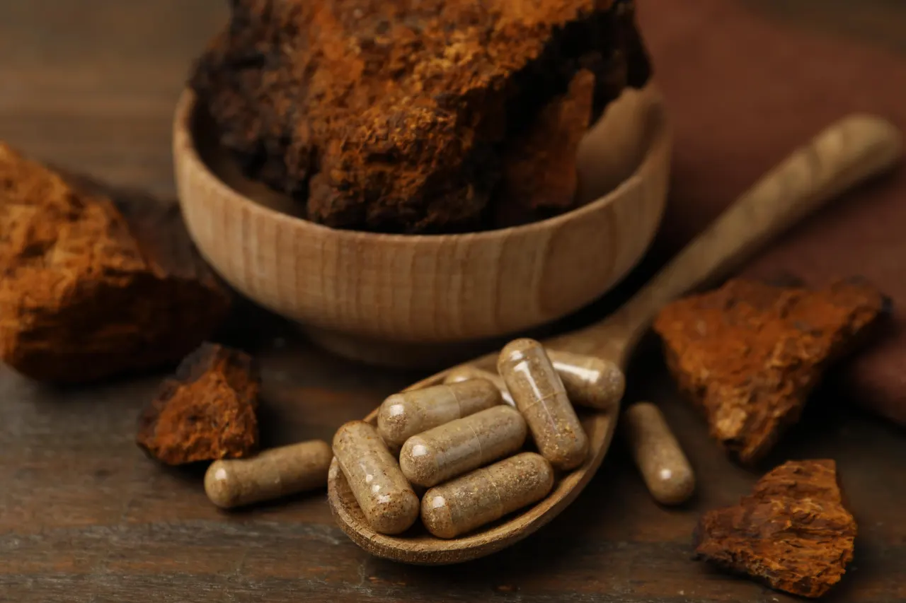 Functional Mushroom Spotlight: Feed Your Mind Naturally